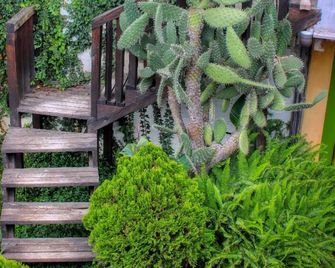 Rossco Backpackers Hostel - San Cristóbal de las Casas - Byggnad