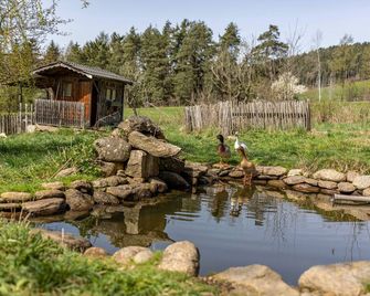 Silbernagl - Monolokal mit Ausblick - Chienes/Kiens