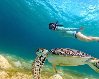 Iakinthos, Tsilivi Beach - Zante