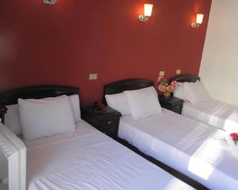 Garden View Hostel - El Caire - Habitació