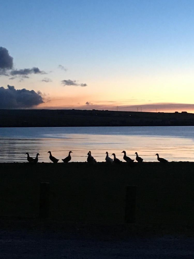 โรงแรมเดอะแซนด์ส - Orkney - วิวภายนอก