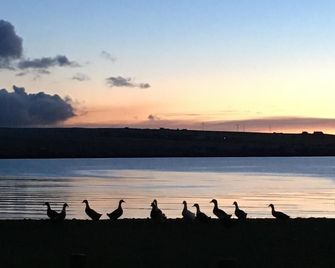 โรงแรมเดอะแซนด์ส - Orkney - วิวภายนอก