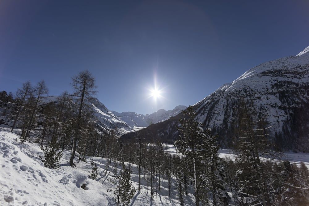 Hotel Bernina - Pontresina - Außenansicht