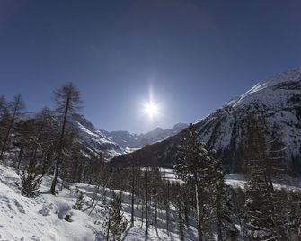 Hotel Bernina - Pontresina - Buiten zicht
