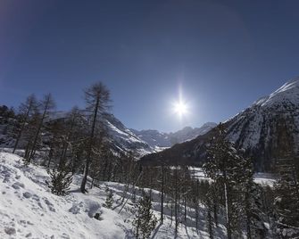 Hotel Bernina - Pontresina - Außenansicht