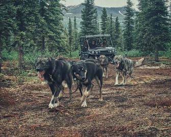 A-Frame glamping near Denali National Park - Cantwell