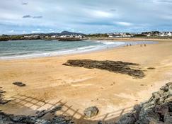 Dolphin - Holyhead - Beach