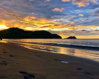 Newly Renovated - 5-minute Walk to Beach & Town - Huge Pool & Community Areas - Gated Complex - Playa Matapalo - Playa