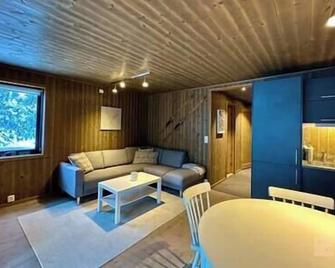 Modern ski-in out apartment at Sjusjøen - Sjusjøen - Living room