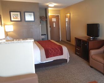 Sleep Inn Idaho Falls I-15 - Idaho Falls - Chambre