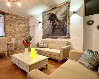 3BR Old city amazing house jacuzzi wifi hottub - קרטחנה דה אינדיאס - סלון