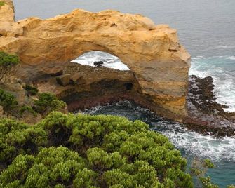 إلم تري موتل - ورّنامبول - شاطئ