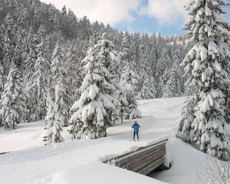 Mountain Chalet sauna atmosphere cocooning nearby lakes and ski slopes - Basse-sur-le-Rupt - Vista del exterior