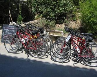 Belle de Nuit - Oppede