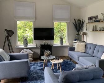 Luxus Chalet bei Renesse 48 qm2 - 巴勒哈姆斯泰德 - 客廳