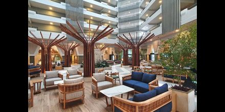 Paradise Village Hoteles en Nuevo Vallarta