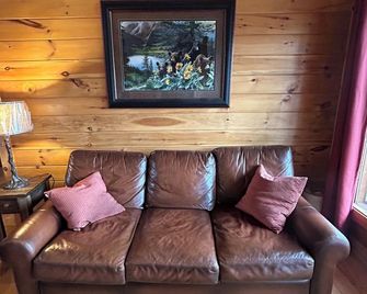 Black Bear Lodge Great Smoky Mtns, Hot Tub, Polar Express, King Bed, Wifi - Bryson City - Living room