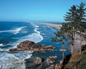 Visit the beautiful Leadbetter Point State Park & Wildlife Refuge! - Ocean Park - Playa