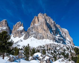 Gh Hotel Monzoni - Pozza di Fassa - Venkovní prostory