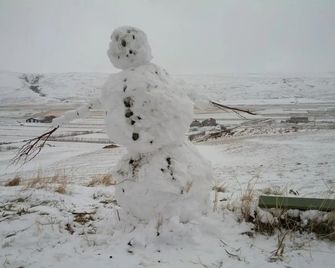 Erpsstadir Cottage - Budardalur