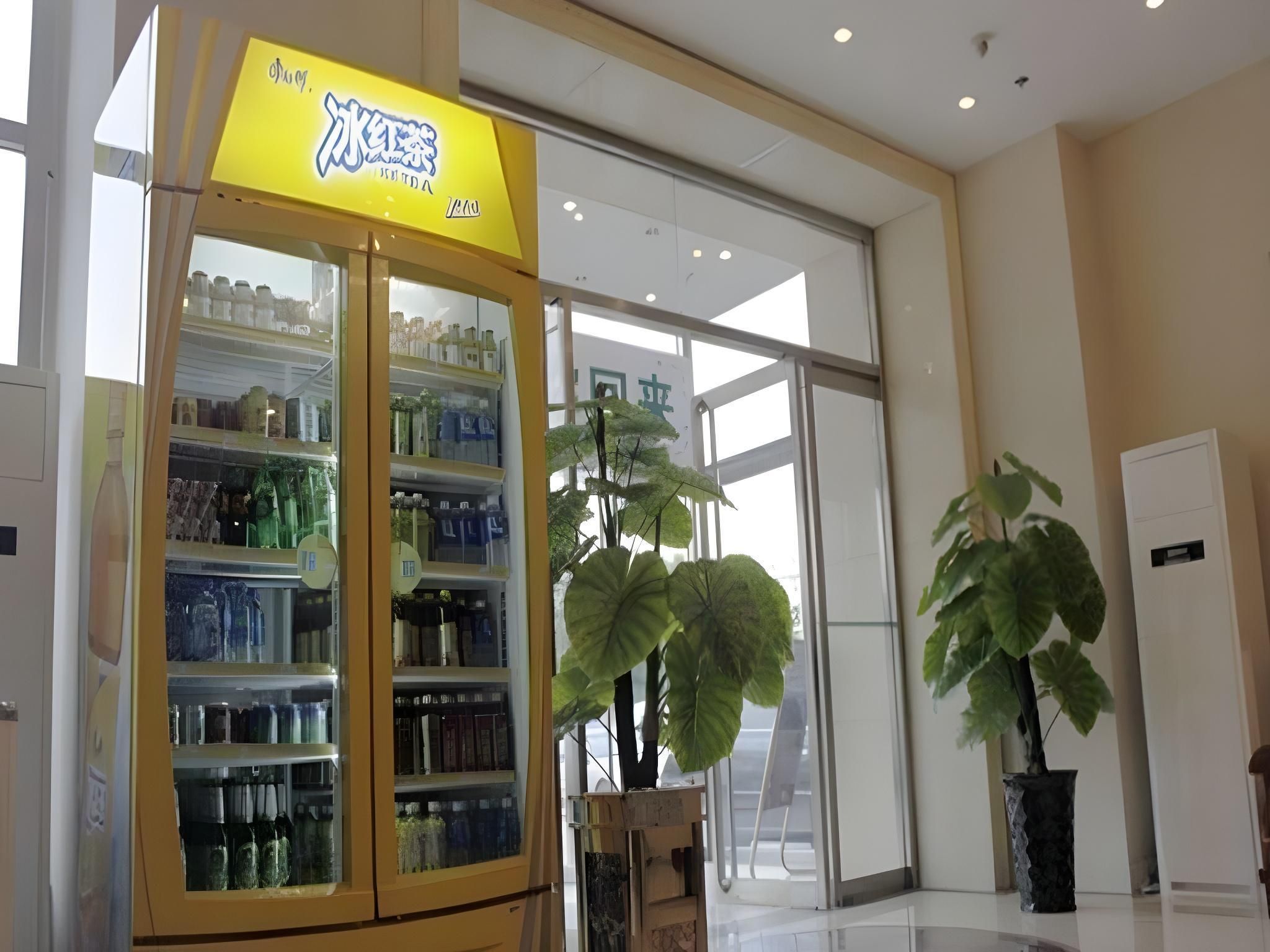 Greentree Inn Tianjin West Railway Station Stage Hotel - טיאנג'ין - לובי