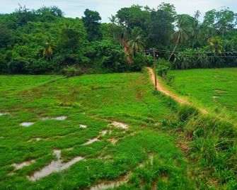Green View Guest - Mirissa - Udsigt