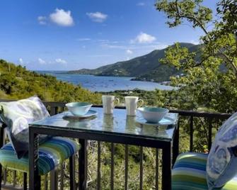 On A Whim - 2 BR/3BA Cozy Island House with Infinity Pool and View of Coral Bay! - St. John - Patio