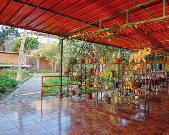 Las Poncianas Hotel Casma - Casma - Restaurant