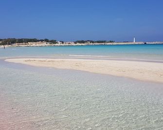 Hotel Oasi Da Paolo - Castelluzzo - Beach