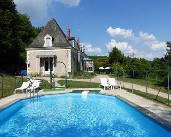 Touraine Manor and Troglodyte Pavilion, - Castillo de Azay-le-Rideau - Piscina