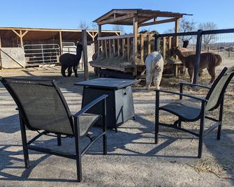 Sleep with Alpacas in Port Hope, an hour away from Toronto - Port Hope - Innenhof