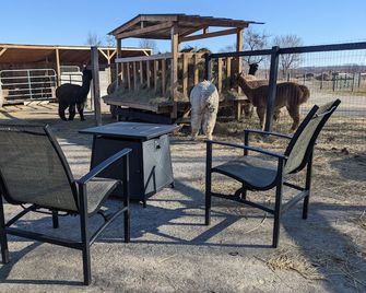 Sleep with Alpacas in Port Hope, an hour away from Toronto - Port Hope - Innenhof