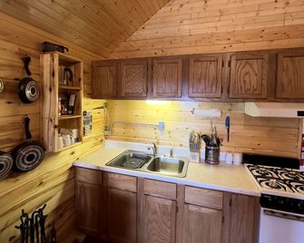 Fantastic Mountain Retreat: Charming Cabin in La Jara, Colorado, near Pagosa Springs - La Jara - Kitchen
