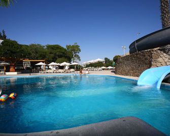 فندق لاس دوناس - إيكا - حوض السباحة