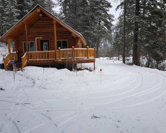 Heron's Roost Cabin #2 - Our New Cabin! - Libby - Building