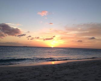 Divi Beach Resort-Ocean View 1 Br/2ba Suite - Oranjestad - Pláž