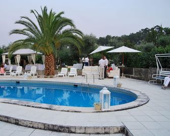 A Casa da Celeste - Mangualde - Piscina