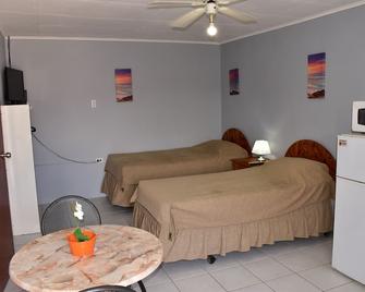 Two-sleeper for travels with a friend or colleague - Oranjestad - Bedroom
