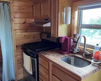 Lookout Loft: A tiny cabin with a ton of rustic charm! - Boone - Kitchen