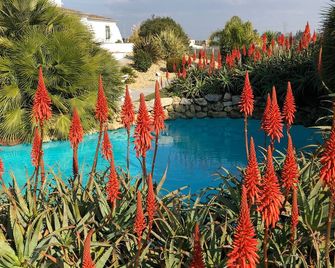 Rural farm Enjoy nature and feel the silence - Palmela - Pool