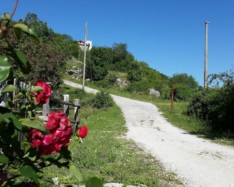 Vallebona House: fragrance-free, Wi-Fi free house for MCS and EHS - 스칸드리글리아 - 야외뷰