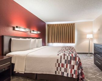 Accessible Lodging Near the Airport! Just a Short drive to Downtown! - Seattle - Slaapkamer