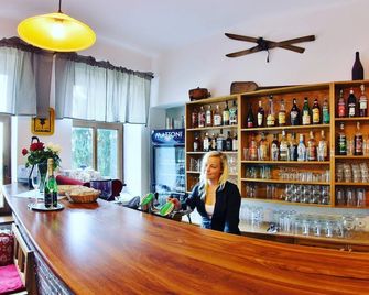 Hotel pod Sikmou Vezi - Jičín - Бар