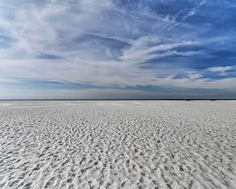 Bright Sarasota Bungalow - 5 Mi to Siesta Beach! - Sarasota - Beach