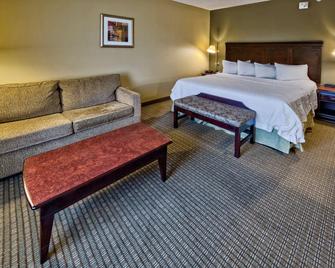 Hampton Inn Rochester-Irondequoit - Rochester - Bedroom