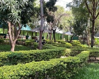 Jungle Green Resort - Kiutine - Meru - Outdoor view