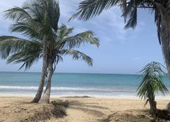 Caribbean Domicile - Las Terrenas - Strand