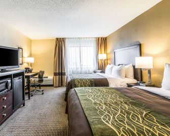 Comfort Inn Detroit Downtown - Detroit - Habitación