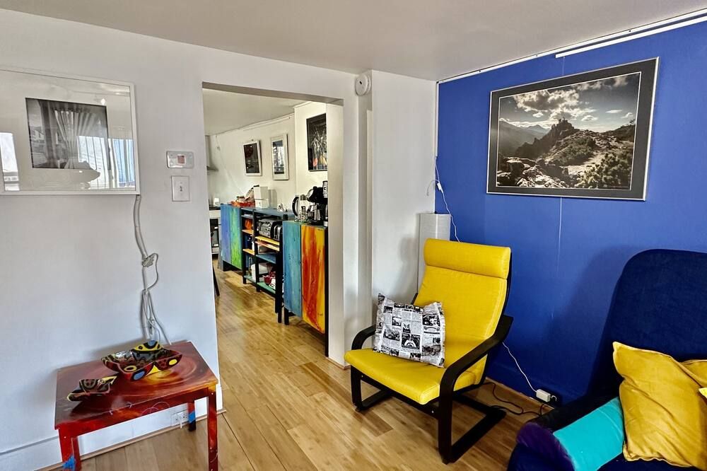 2 Bdrm Artsy Apt in a Historical Bldg, 1.1 mi from Downtown - Pittsburgh - Huiskamer
