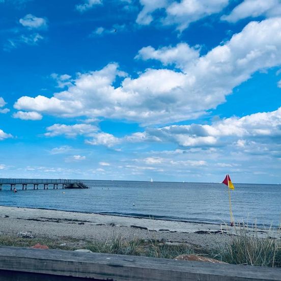 Seaview and swimming – København